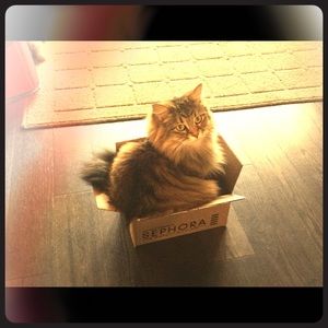 Meet your Posher, Jennifer